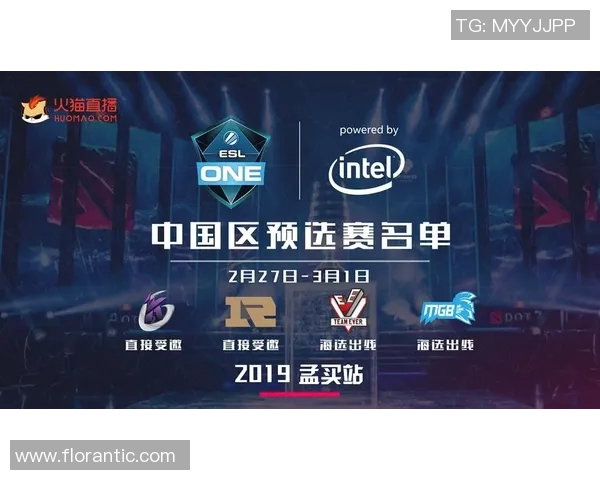 DOTA2专题:深入分析EDG战队在比赛中的策略与经验分享